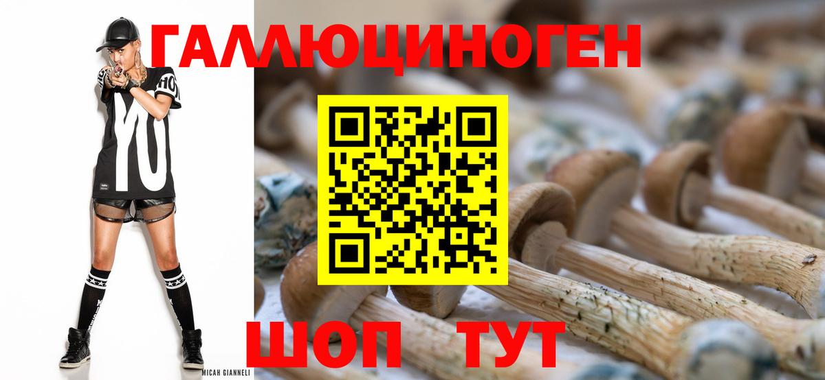 Жуковский  даркнет сайт  Вход с VPN  Псилоцибиновые грибы мухоморы 